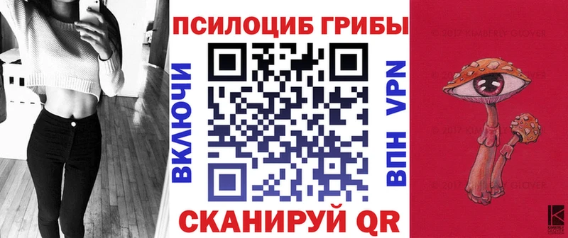Купить Каменск-Шахтинский Галлюциногенные грибы Cubensis