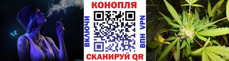 Купить  Каменск-Шахтинский  Бошки Шишки план 